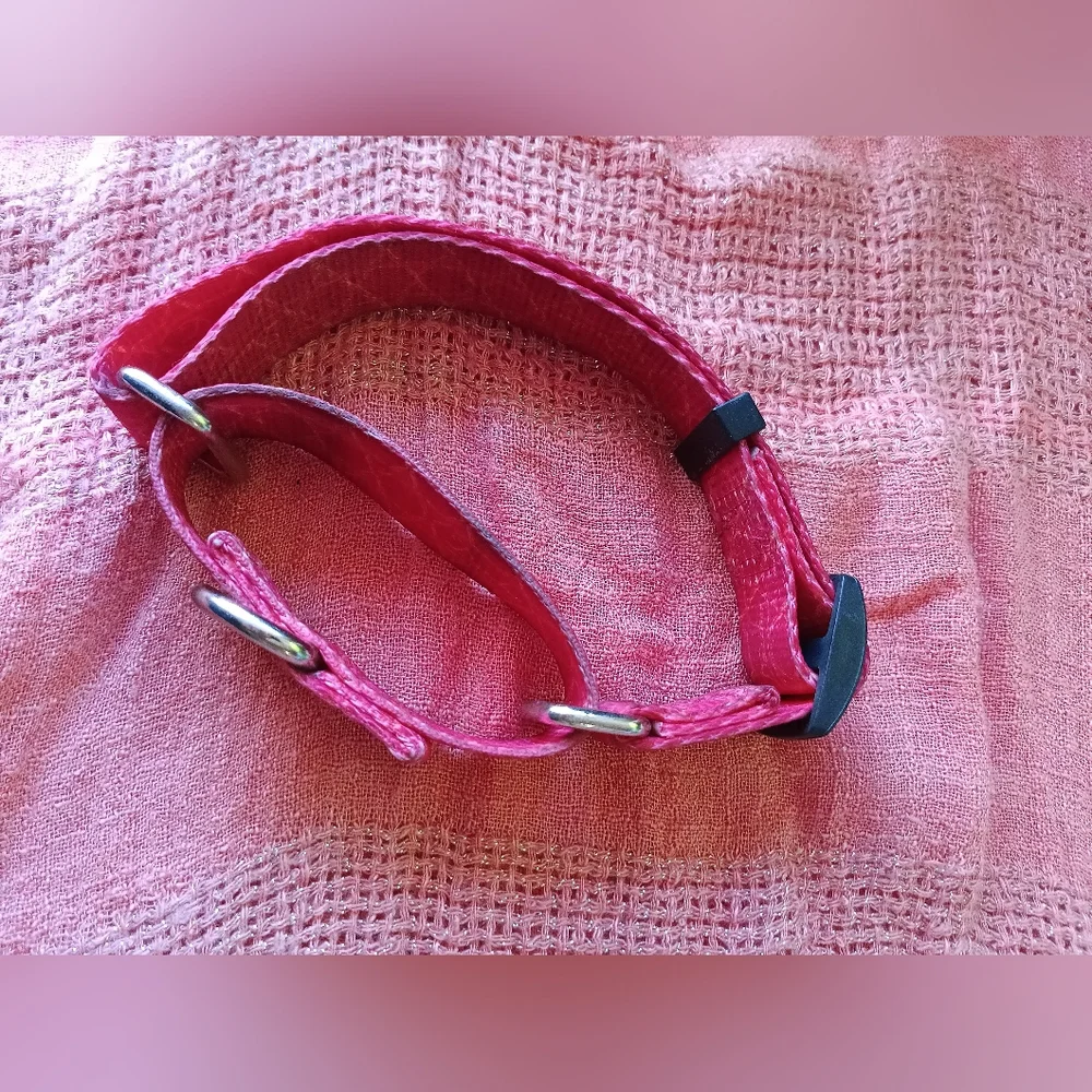 Pink Dog Collar